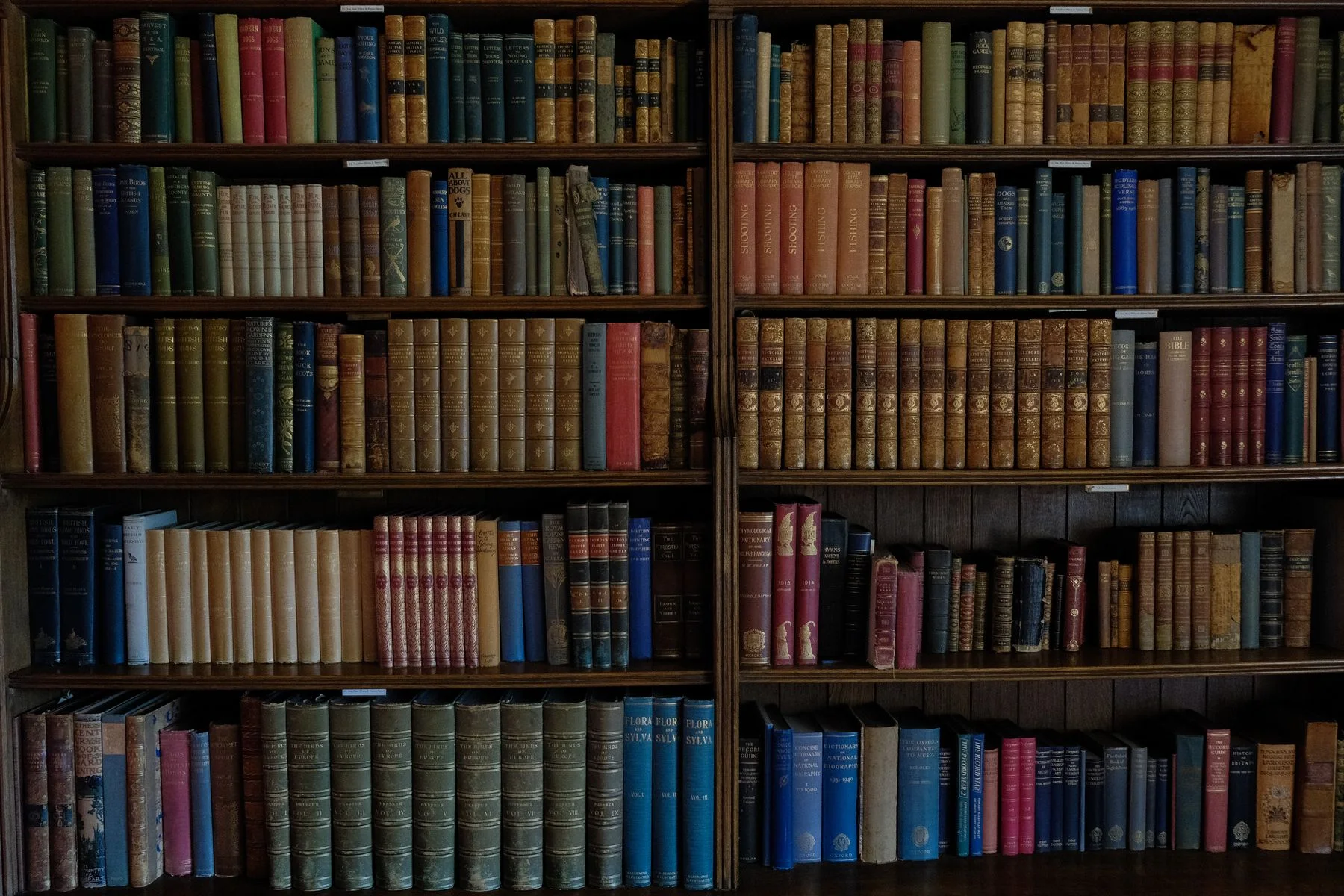 Старі книжки на дерев’яних бібліотечних полицях